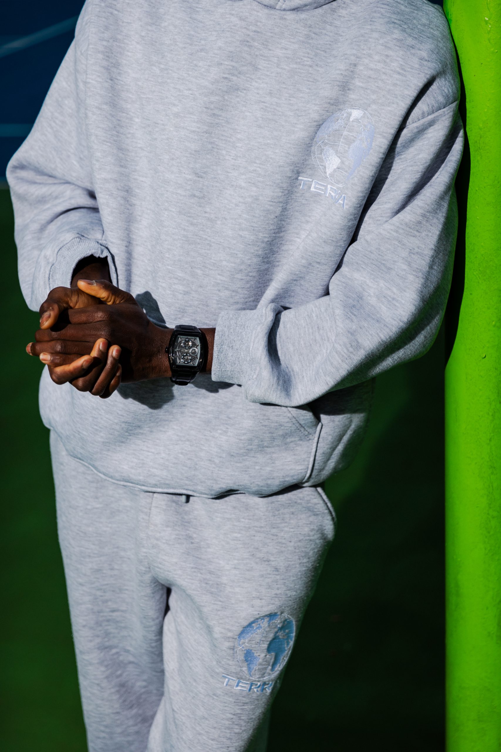 The Essential TERRA - Gray - Image 2